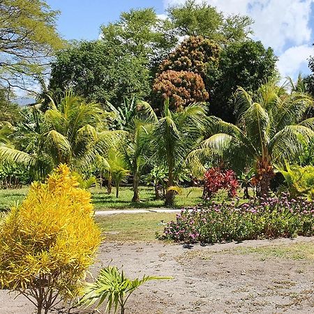 Rancho Tranquillo Vandrarhem Moyogalpa Exteriör bild