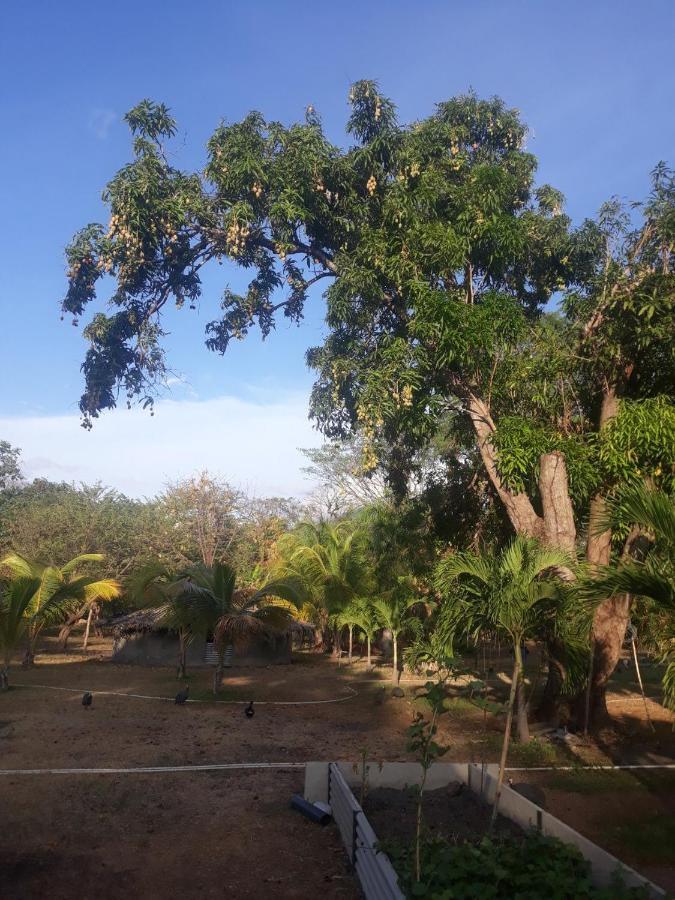 Rancho Tranquillo Vandrarhem Moyogalpa Exteriör bild
