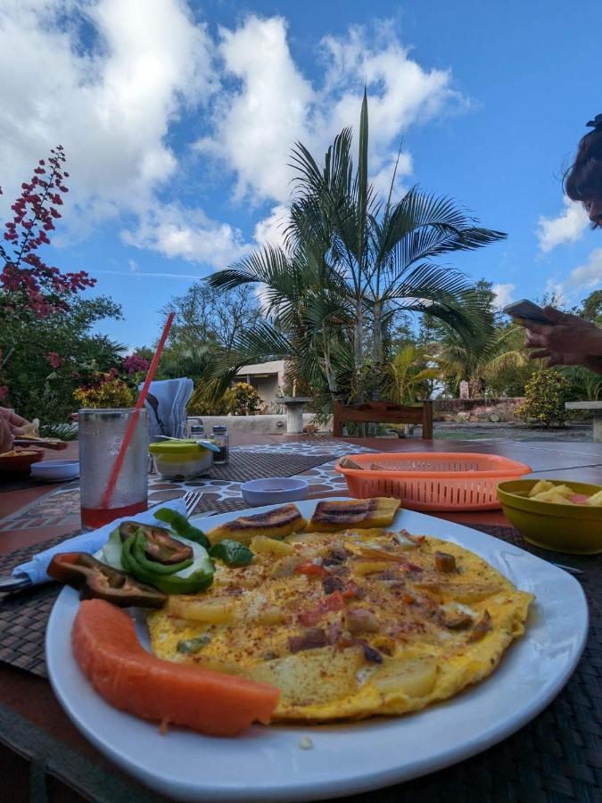 Rancho Tranquillo Vandrarhem Moyogalpa Exteriör bild