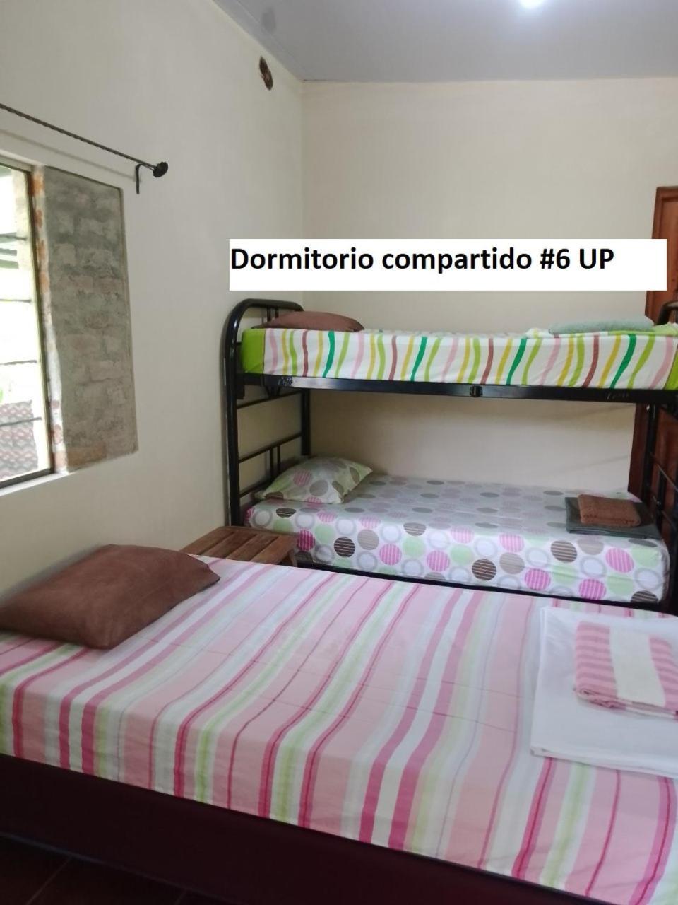 Rancho Tranquillo Vandrarhem Moyogalpa Rum bild